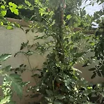 La Corte Di Valemi Appartement Riccò del Golfo di Spezia