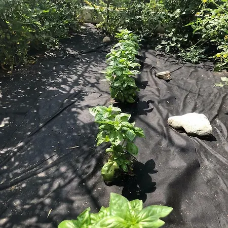 La Corte Di Valemi *