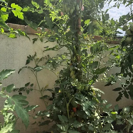 La Corte Di Valemi Apartmán Riccò del Golfo di Spezia