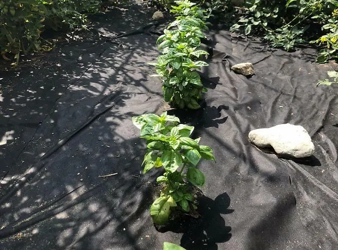 La Corte Di Valemi *